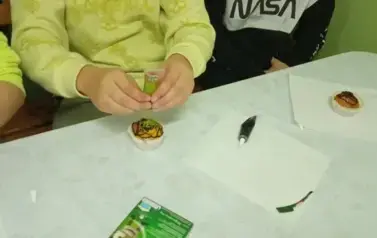 Dzień Dyni12