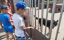 353425158_762304455684884_1001440871322485421_n