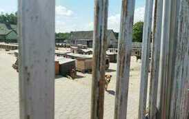 347268034_762306399018023_5372091446863592970_n