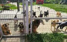 346489470_762306095684720_3817641379656050200_n