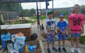 347634491_762306012351395_5889725369381883972_n