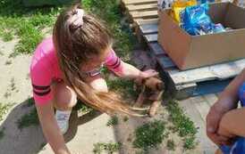 347257847_762305932351403_5921648829790497882_n