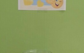 403618342_853806023201393_3667943818406698802_n