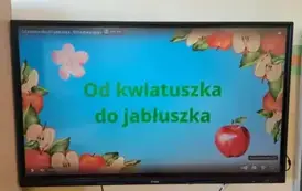 Dzień jabłka10