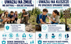 Tydzień bezpieczeństwa