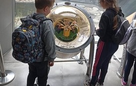 345071013_1289456255313542_2402738807900837569_n