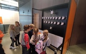 345229170_754644446206313_8402616583293239172_n