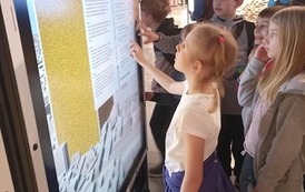 345150741_986773095814525_5785859836077741676_n