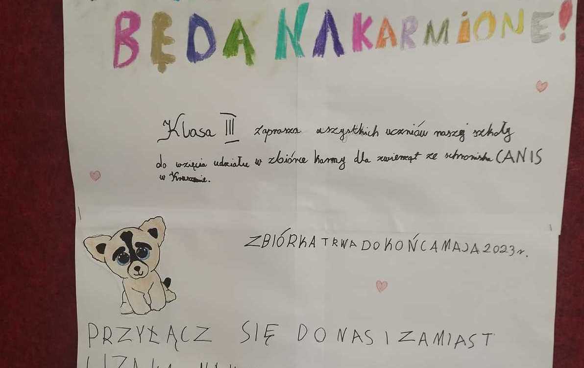 Zdjęcie do Zbi&oacute;rka karny dla schroniska w Kruszewie
