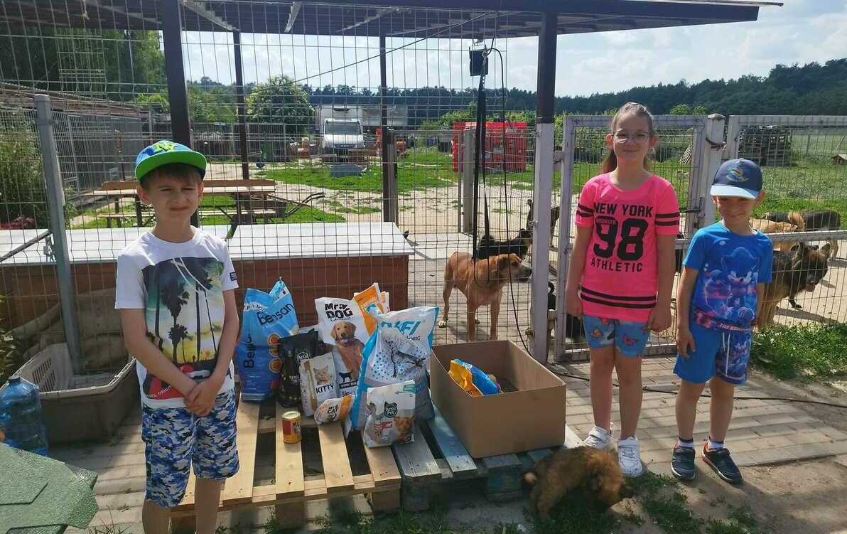 Zdjęcie do Pomoc dla Schroniska dla Bezdomnych Zwierząt Canis w Kruszewie
